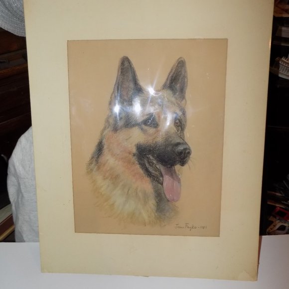 ORIGINAL ART DRAWLING OF A GERMAN SHEPARD COLORIZED 11X14 EXCELLENT SHAPE